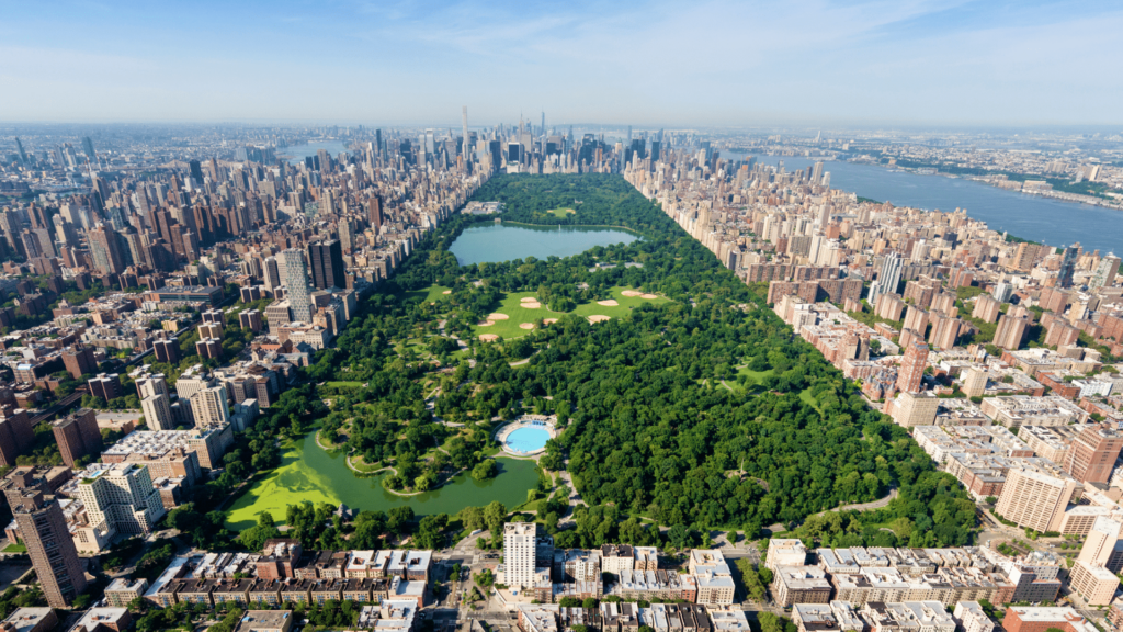 The Best Time to Visit Central Park