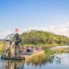 Everglades Adventure: Unlock the Secrets of Florida’s Wild Heart