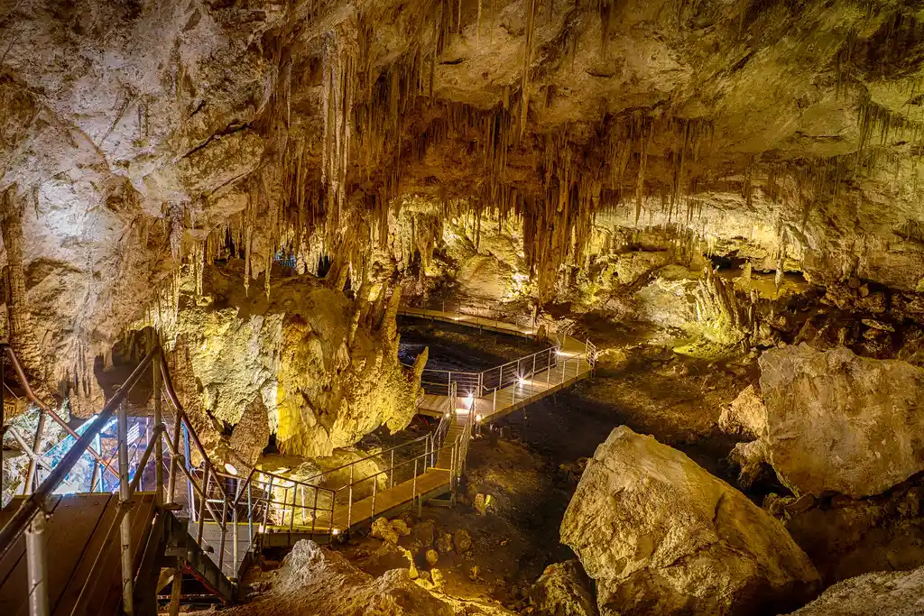 Best Time to Visit Mammoth Cave National Park