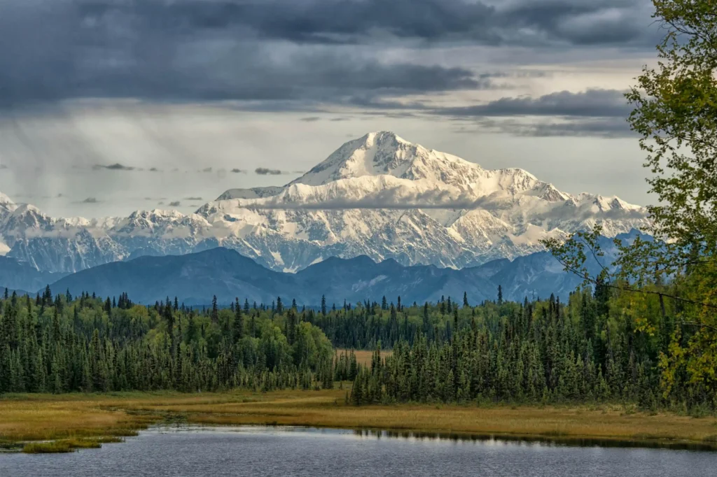 Best Time to Visit Denali National Park Adventure