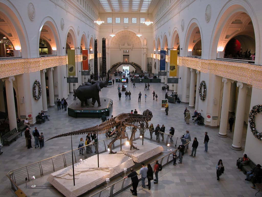 The Best Time of Year to Visit The Field Museum