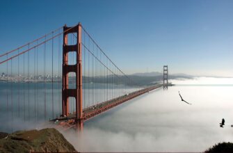 Unlock the Best Views of the Golden Gate Bridge: Where to Go and What to See