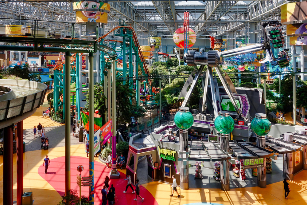 Why Visit the Mall of America?