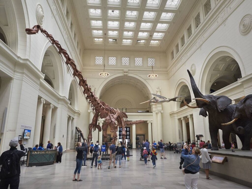 The Field Bistro (located inside the museum): This spot offers a range of sandwiches, salads, and snacks, perfect for families or solo travelers looking for a quick bite between exhibits.