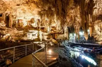 Everything You Need to Know Before Visiting Mammoth Cave National Park