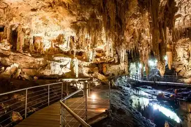 Everything You Need to Know Before Visiting Mammoth Cave National Park