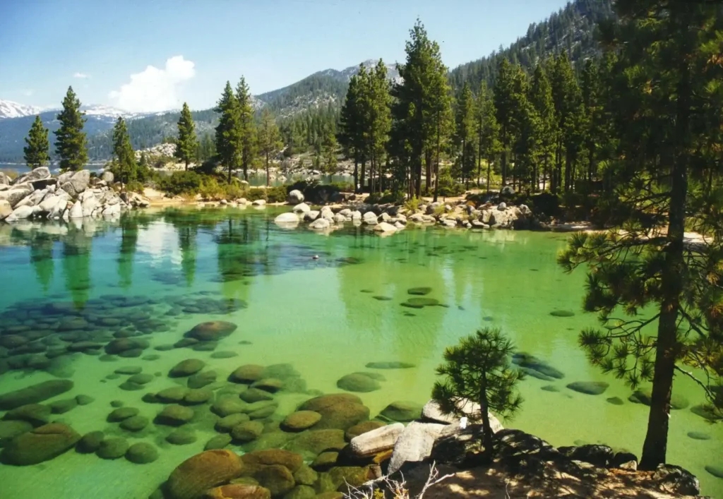 Stat alert: Lake Tahoe attracts over 15 million visitors annually, with summer being the most popular season!