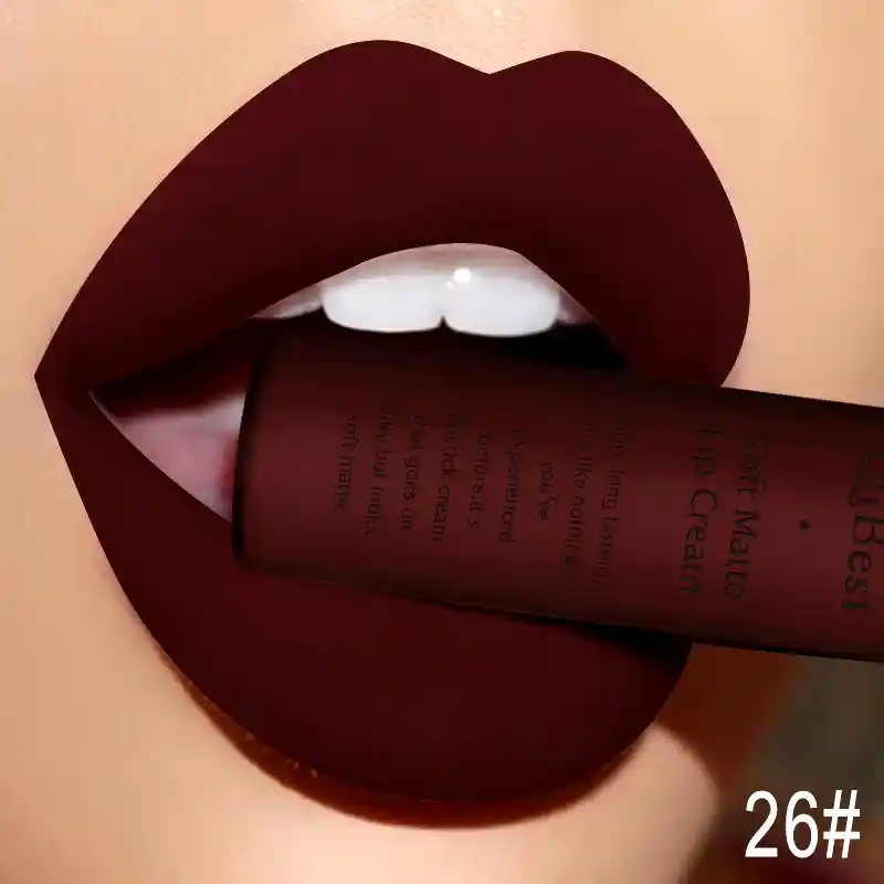 QIBEST Matte Liquid Lipstick Waterproof Long Lasting Velvet Mate