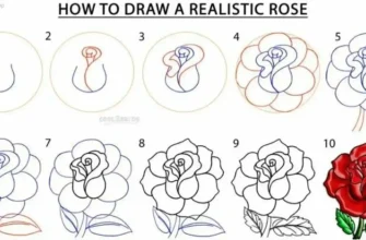 goodsanalisys, guide "How to"