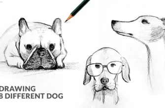How to Draw Different Dog Breeds: A Complete Guide