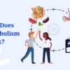 goodsanalisys, guide "How to"