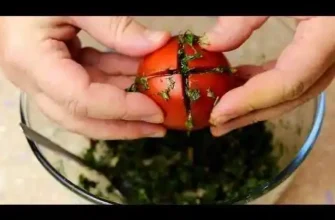 Easy and Effective Ways to Grow Tomatoes in Pots