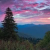 Tips for Driving the Blue Ridge Parkway Safely and Comfortably