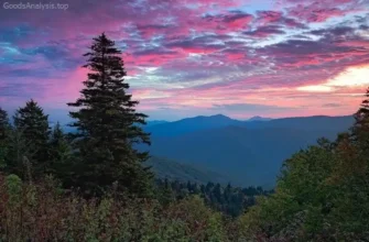 Tips for Driving the Blue Ridge Parkway Safely and Comfortably