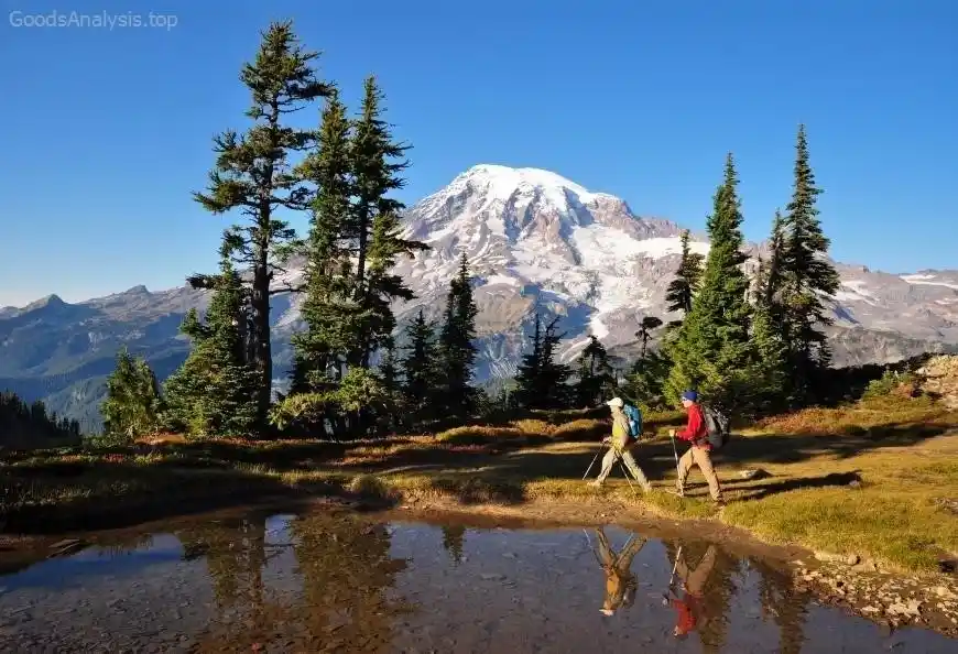 What Makes Mount Rainier National Park So Special?  