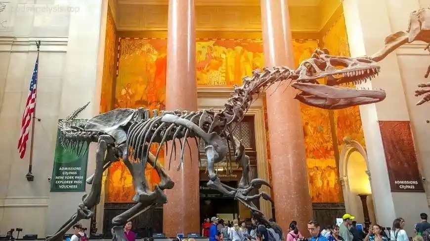 The Best Places to Eat Near the National Museum of Natural History  