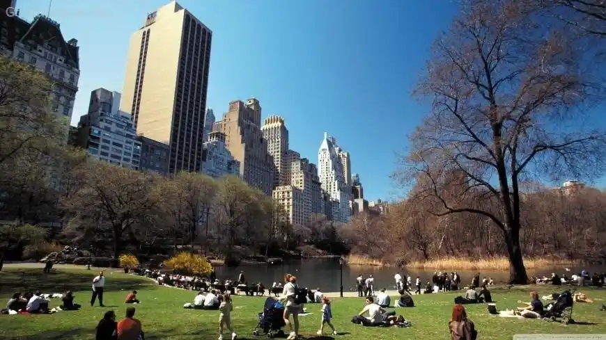 A Local’s Guide to Central Park: How to Experience the Best of NYC’s Park  