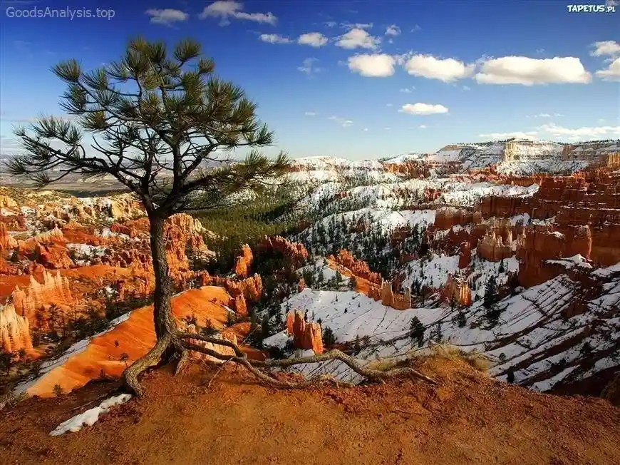 Top Bryce Canyon Trails for Scenic Views and Adventure  