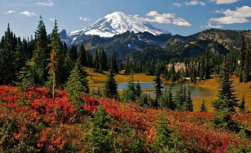 Visiting Mount Rainier: Top Trails and Scenic Views  