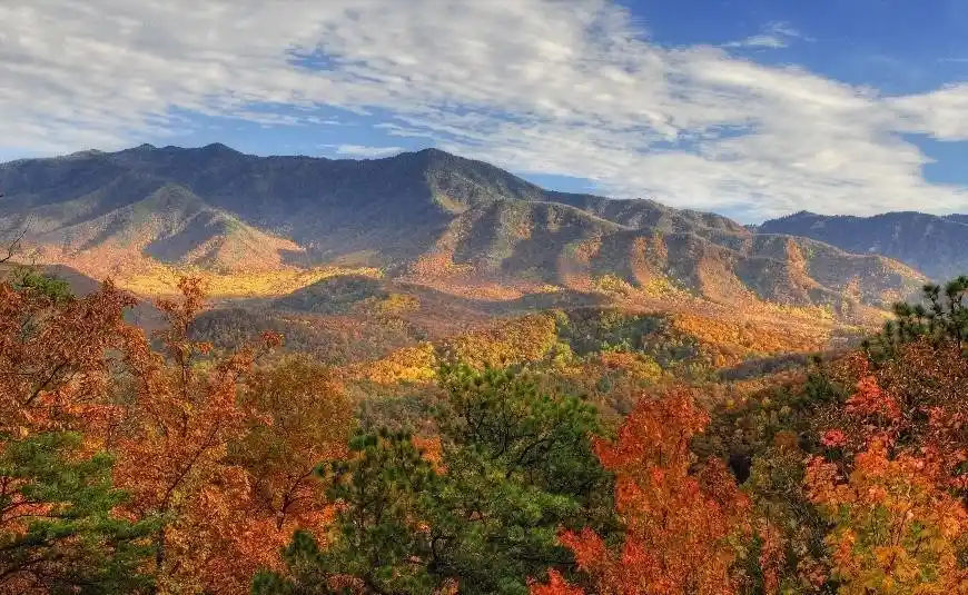 How to Plan a Day Trip to Great Smoky Mountains National Park  