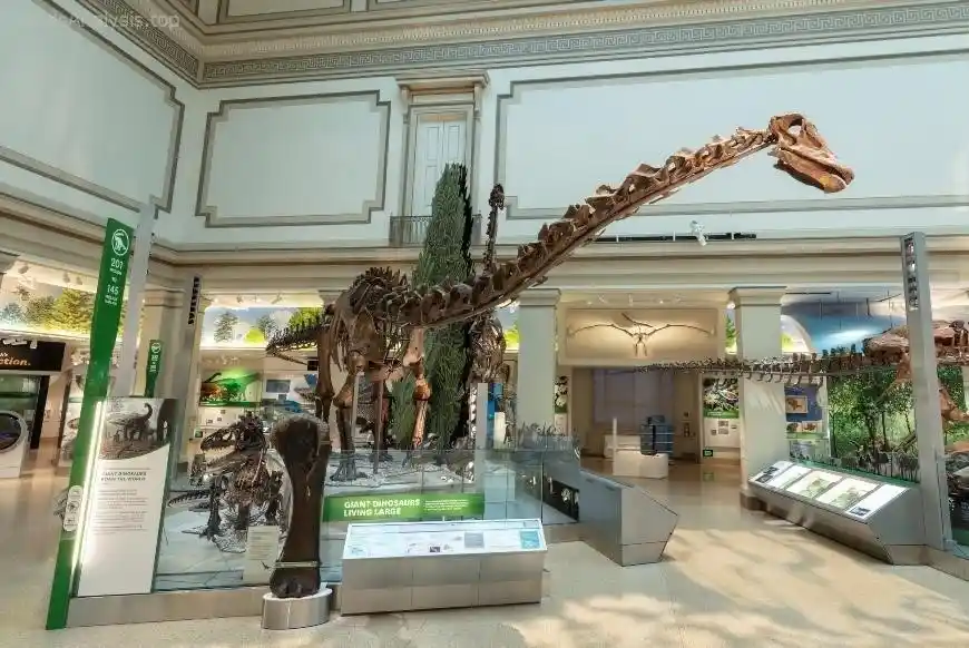 Family-Friendly Tips for Visiting the National Museum of Natural History  