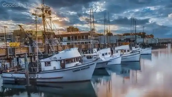 Fisherman’s Wharf: Exploring San Francisco’s Historic Waterfront  