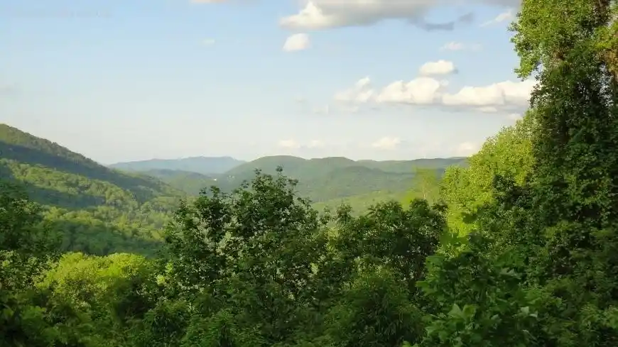 The Best Instagram Spots in Great Smoky Mountains National Park  