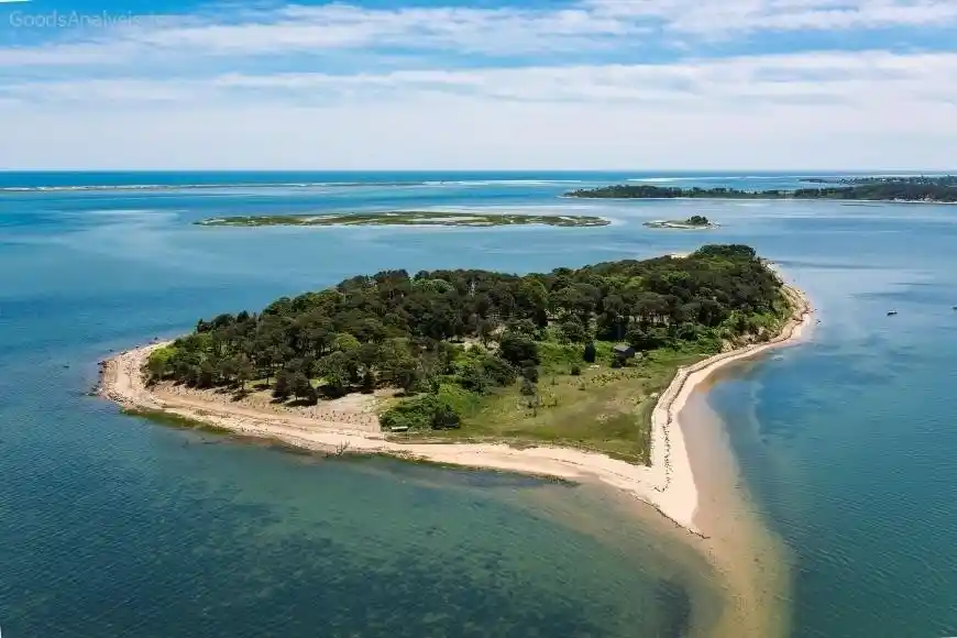 Seals, Lighthouses, and Beaches: Why Cape Cod National Seashore is a Must-Visit  