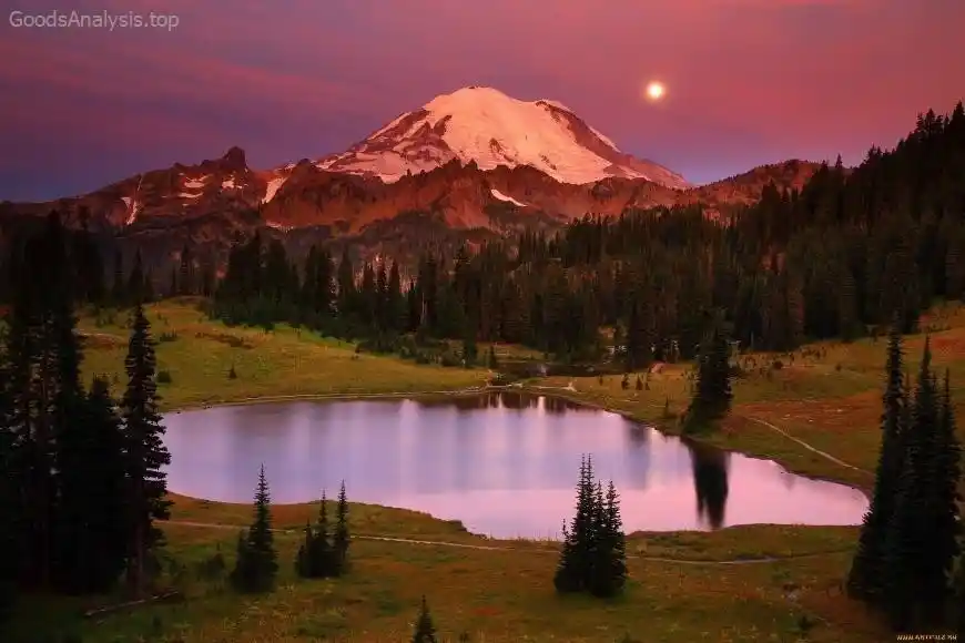 Experience the Beauty of Mount Rainier National Park  