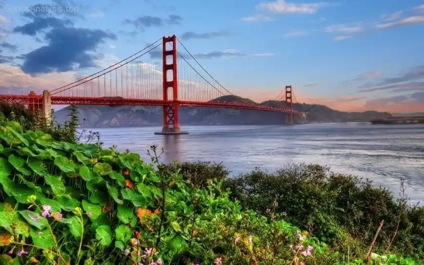 Golden Gate Bridge for Families: Kid-Friendly Activities and Tips  