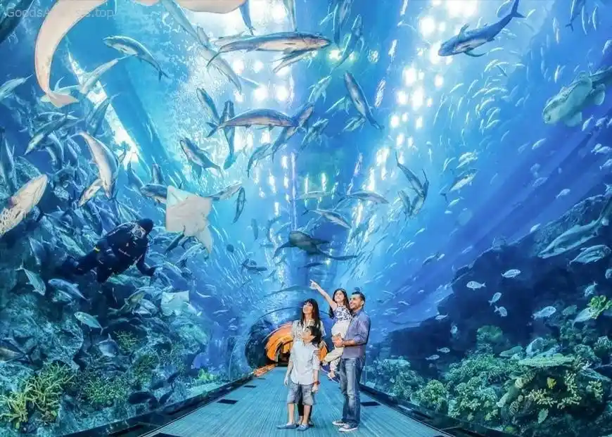 National Aquarium Baltimore for Families: A Complete Guide  