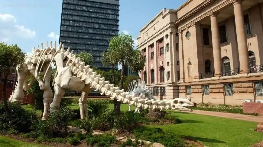 Everything You Need to Know About the National Museum of Natural History  