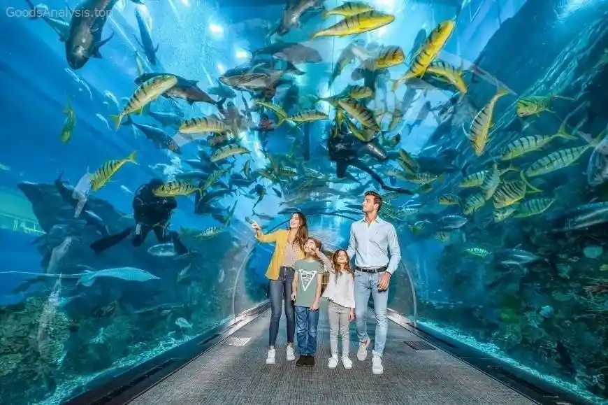 Ultimate Guide to Visiting the National Aquarium in Baltimore  