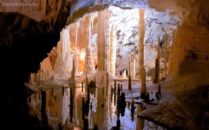 Carlsbad Caverns Travel Guide: From Bat Flights to Cave Tours  