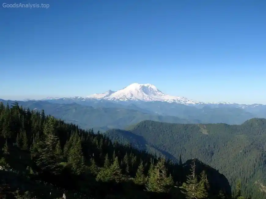 Best Time to Visit Mount Rainier National Park for Wildflowers and Views  