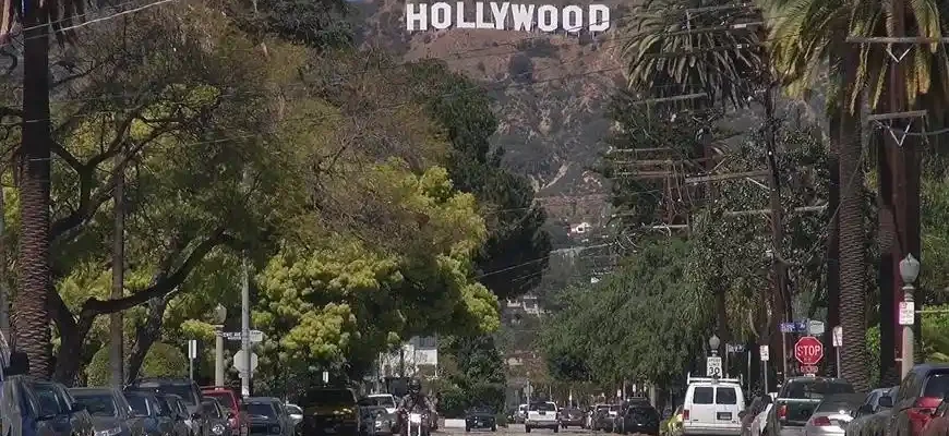 Perfect Day Out at Hollywood Bowl