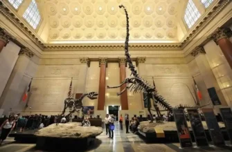 The Ocean Hall at the National Museum of Natural History: Dive into Marine Life