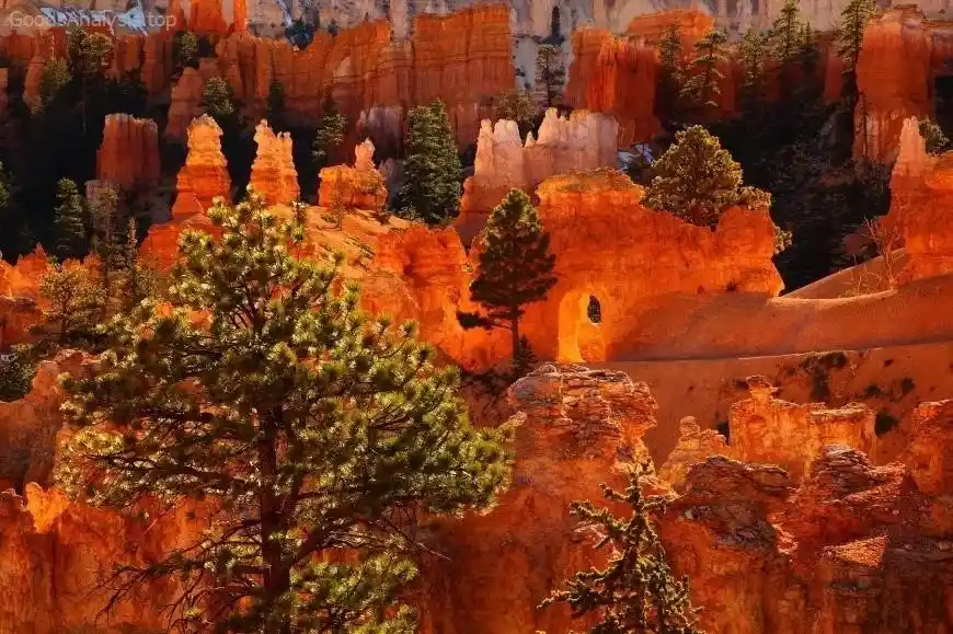 Bryce Canyon Travel Guide: Everything You Need to Know Before You Go  