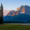 Rocky Mountain National Park Wildlife Guide