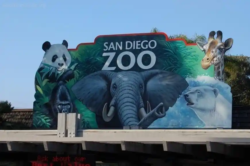 Everything You Need to Know Before Visiting the San Diego Zoo  