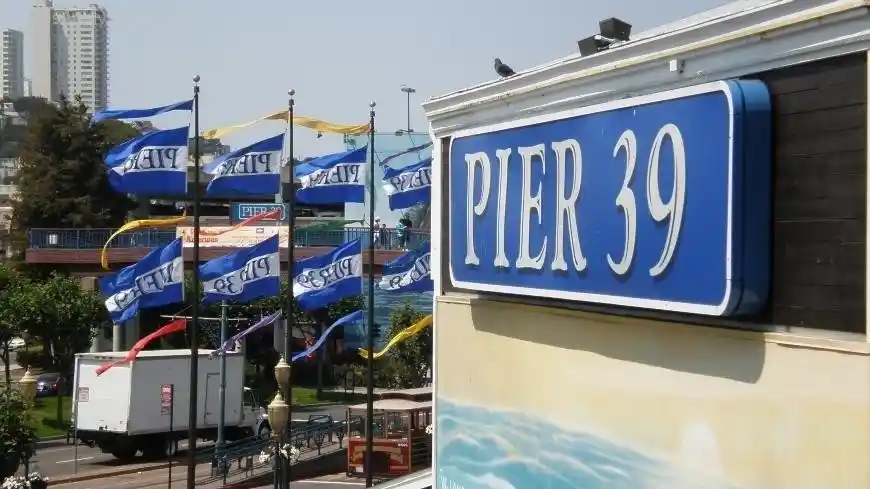 San Francisco’s Pier 39: Where to Eat, Shop, and Explore  