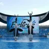 SeaWorld Orlando: The Ultimate Guide to Thrilling Rides and Amazing Animal Encounters