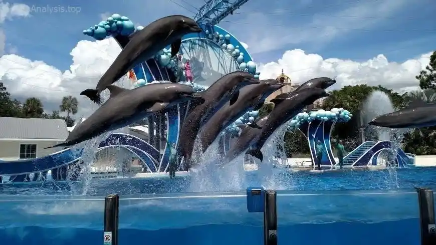 Planning Your Visit to SeaWorld Orlando: Insider Tips and Travel Advice  