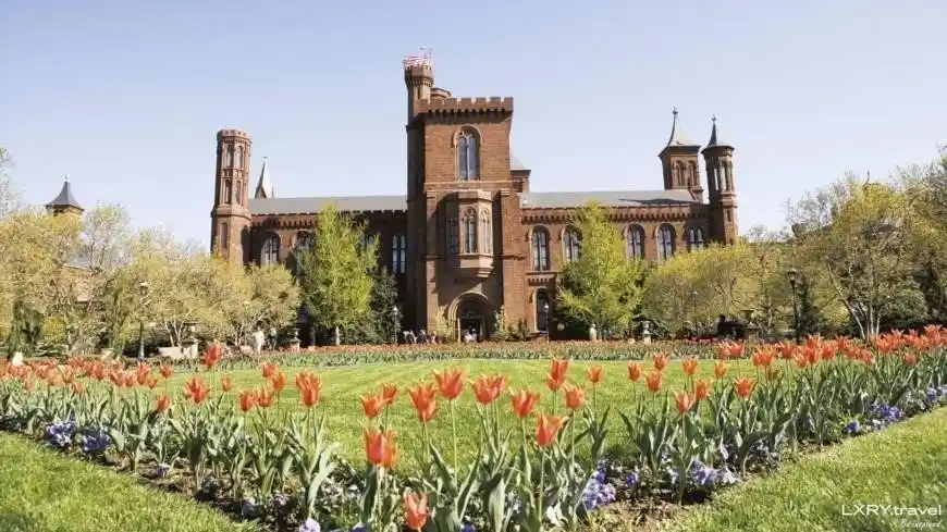 What Makes the Smithsonian Institution So Special?  