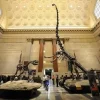 What You’ll Find Inside the Smithsonian National Museum of Natural History