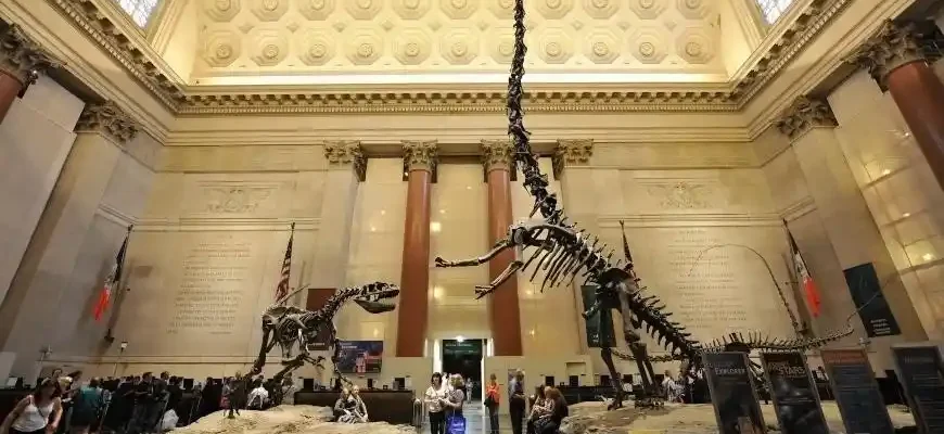 What You’ll Find Inside the Smithsonian National Museum of Natural History