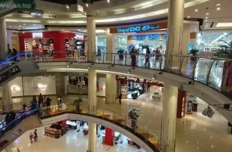 Discover the Best Attractions at The Mall of America