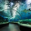 National Aquarium in Baltimore Tips