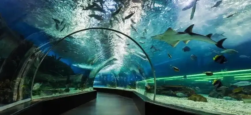 National Aquarium in Baltimore Tips