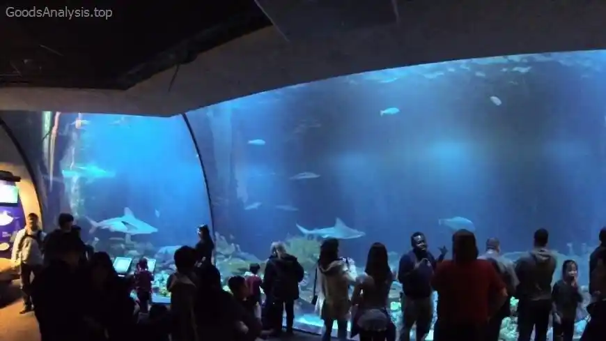 What to Expect at the National Aquarium in Baltimore  